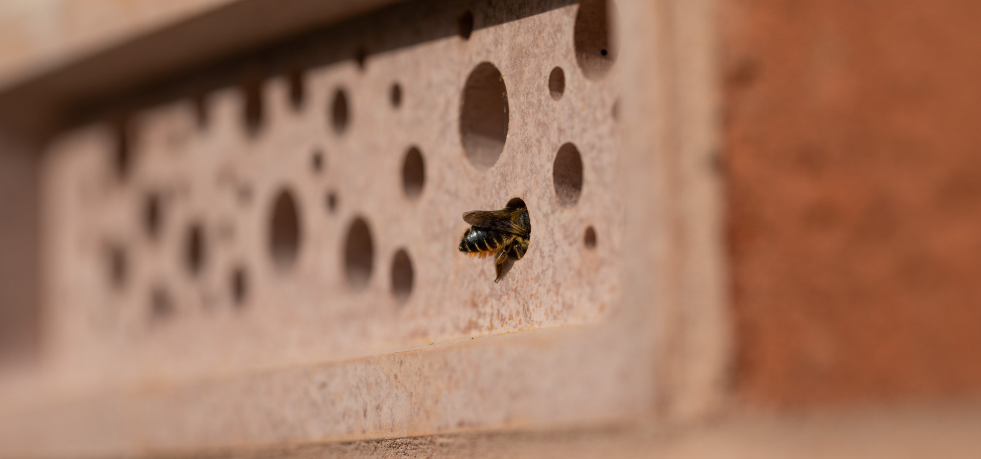 Bee Brick bee house for solitary bees installed in a brick wall