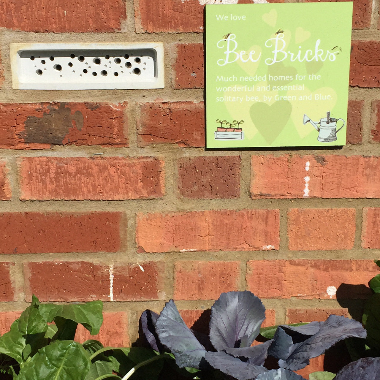 Bee Brick in greenhouse brick wall