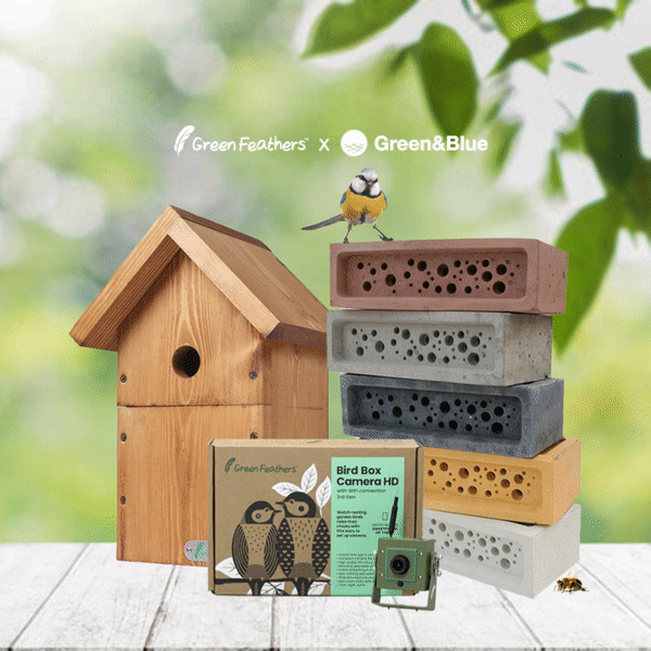 Competition graphic for nature loving bundle for the birds and the bees
