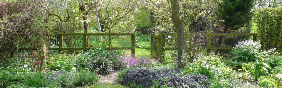 Image of Stillingfleet Lodge Gardens, Great Gardens of UK