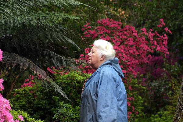 Image of Greencombe Gardens, Great Gardens of UK