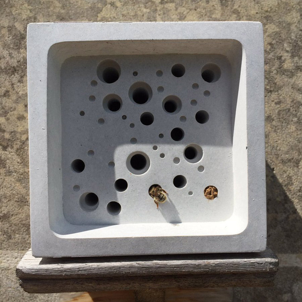 Bees nesting in a large bee block by green and blue
