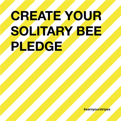 solitary bee pledge