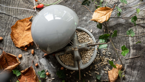 a grey bird seed feeder open and filled and resting on a natural wood plinth ready for Christmas with fallen leaves and foliage surrounding