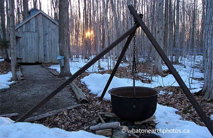 maple syrup kettle