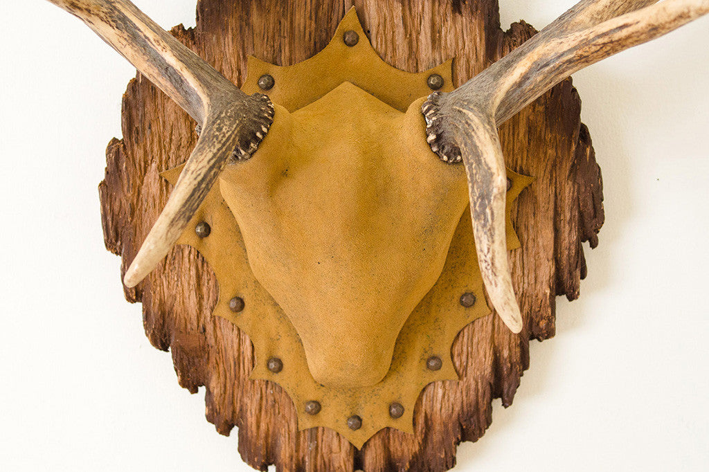 Vintage Elk Horns - Homestead Seattle