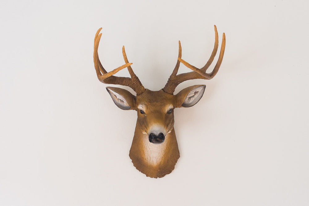 Fake Deer Head Mount Living Room