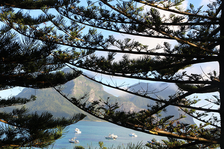 Lord howe island wedding