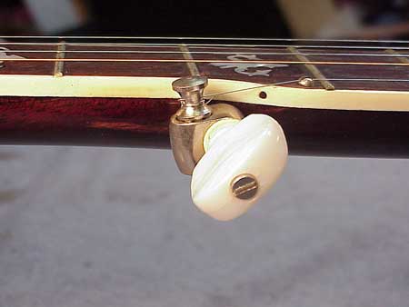 Banjo Tuning Peg