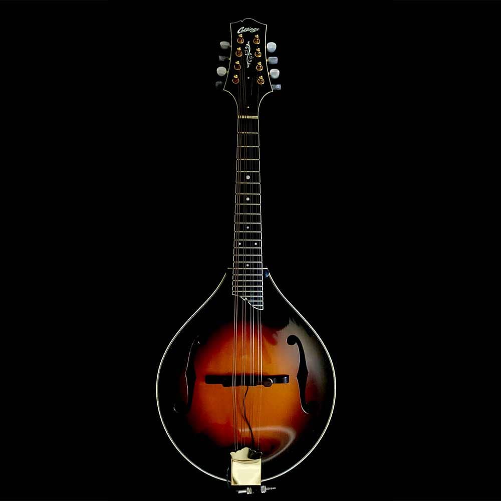 collings mandolin used