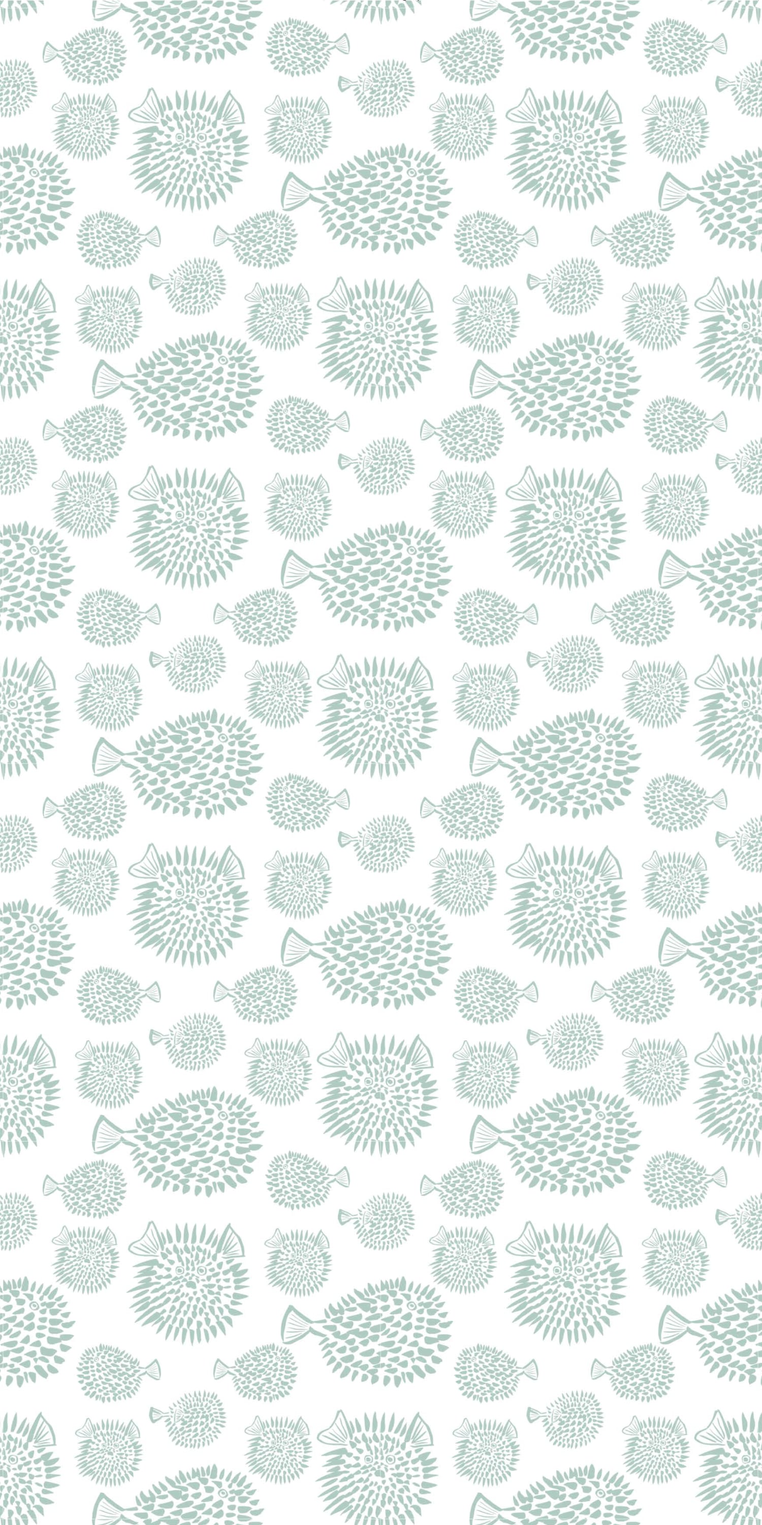 Pufferfish Wallpapers  Top Free Pufferfish Backgrounds  WallpaperAccess