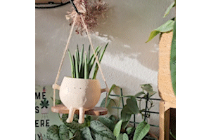 Swinging Plant Pot