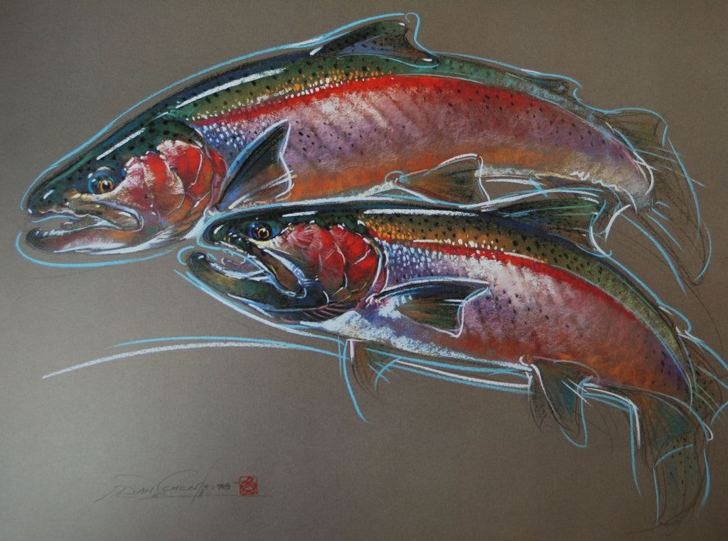 Steelhead Print of Pastel Drawing Dan Chen Nature and Wildlife Artist