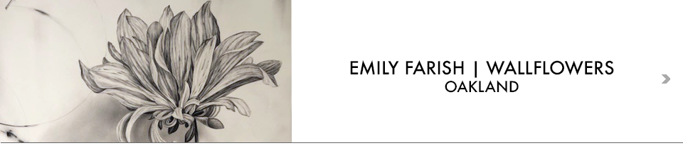 EMILY FARISH WALLFLOWERS