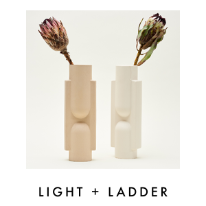 LIGHT + LADDER