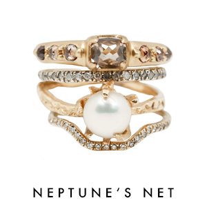 NEPTUNE'S NET