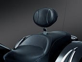 Plug-N-Go Driver Backrest  $229.99