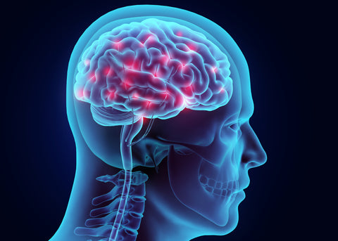 Glutathione may help protect the brain from oxidative stress.