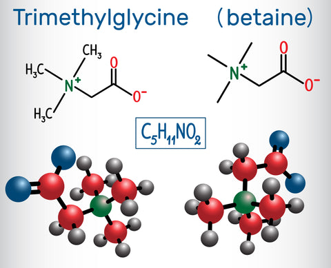 TMG contains three methyl groups attached to each molecule of glycine