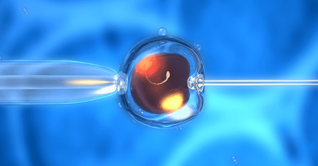 In vitro fertilization, or IVF, has reduced success rates as women age.