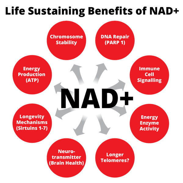 The life sustaining benefits of NAD+