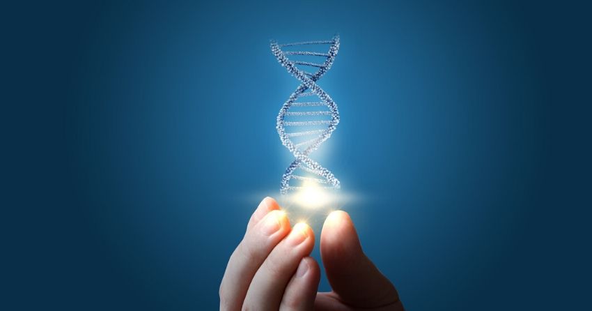 dna; Methylation, a fundamental biochemical process, is crucial for various bodily functions, such as neurotransmitter formation, cellular energy production, and DNA expression (epigenetics).