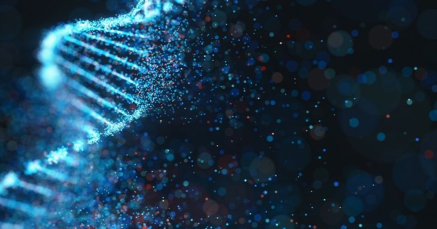 DNA; biological age tests measure factors like DNA methylation or telomere length, both biomarkers of aging.