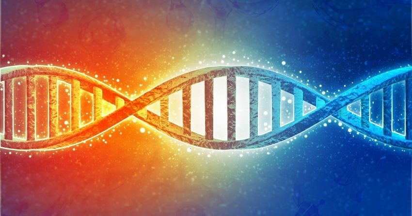 DNA methylation is a significant component of epigenetics