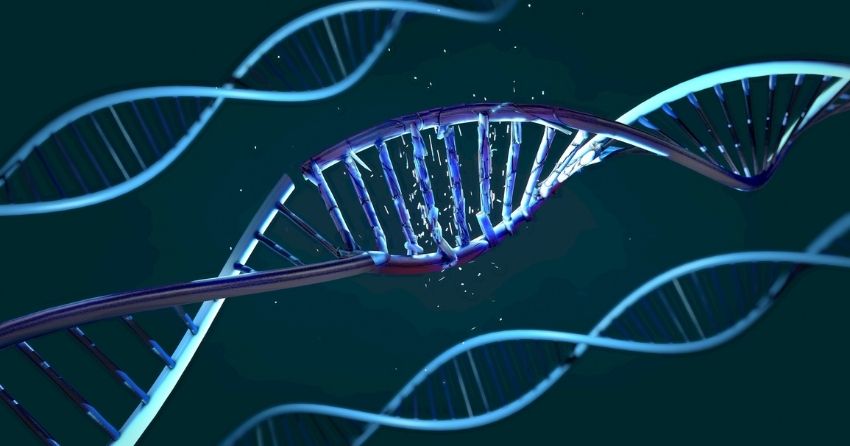 dna damage is a cause of accelerated aging