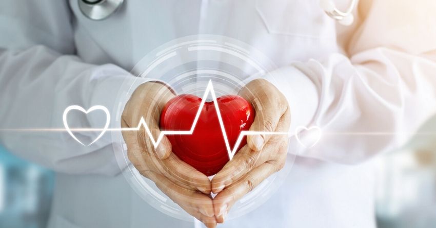 Is High Heart Rate Variability (HRV) the Key to Longevity?