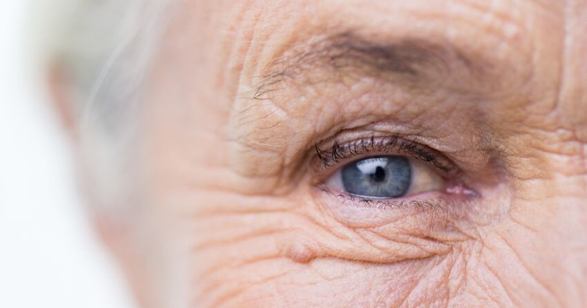 Visual Vitality: Study Finds Dietary Restriction Delays Circadian Eye Aging to Extend Lifespan