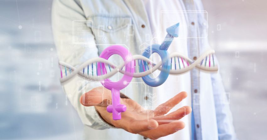 female and male gender signs with DNA; Do Women Age Differently Than Men? Research Looks at Key Differences in Autophagy, Intestinal Health, and Lifespan