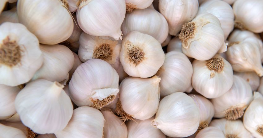 Garlic is rich in potent anti-inflammatory and antimicrobial organosulfur compounds