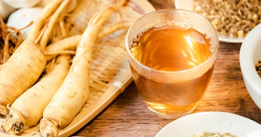 panax ginseng