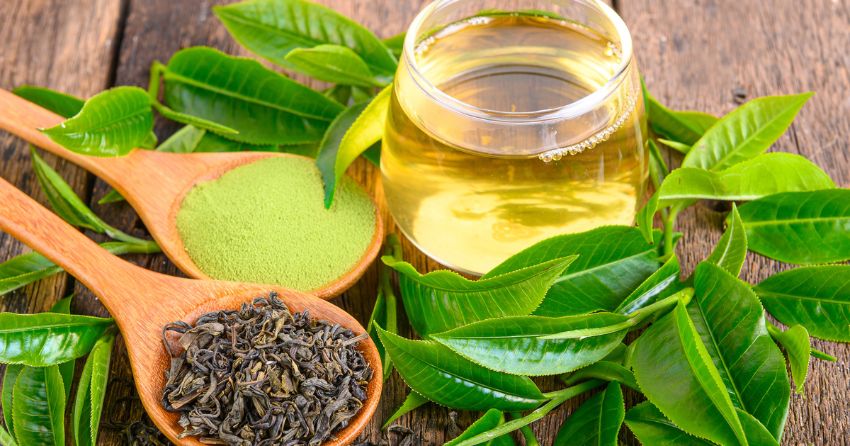 Green Tea Extract: The Secret to Healthy Aging
