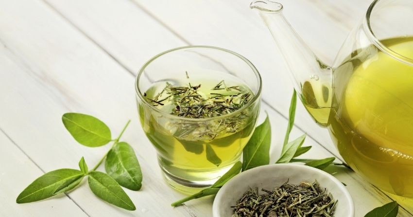 Green Tea Compound EGCG Extends Lifespan and Healthspan by Fighting Cell Aging