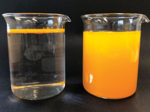Left: Limited dispersion and bioavailability with regular curcumin.   Right: Enhanced water solubility with LipiSperse®.