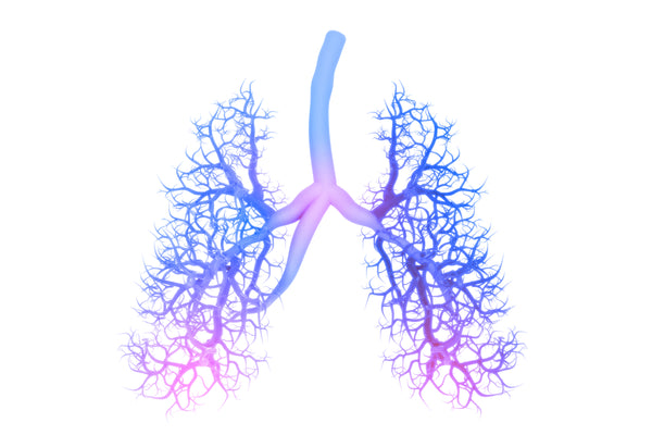 guaifenesin may improve symptoms of breathing disorders