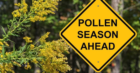 Pollen is the most common fall allergy trigger.