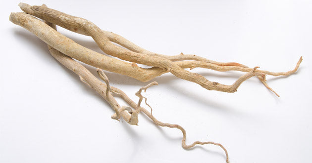The root bark of the Tongkat ali tree is rich in bioactive phytonutrients.
