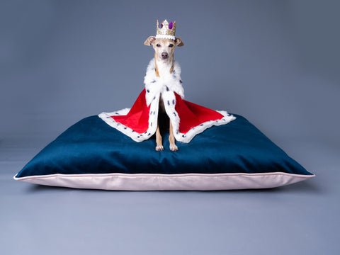 Give your dog the royal treatment with a perfect bed by Charley Chau.