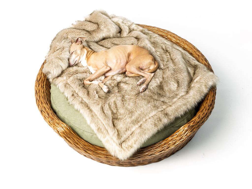 Charley Chau Luxury Double Rattan Dog Basket