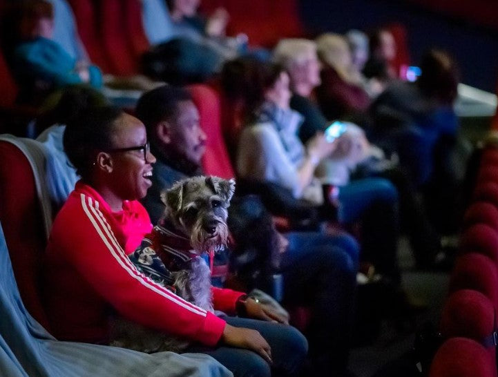 Picturehouse Dog friendly cinema