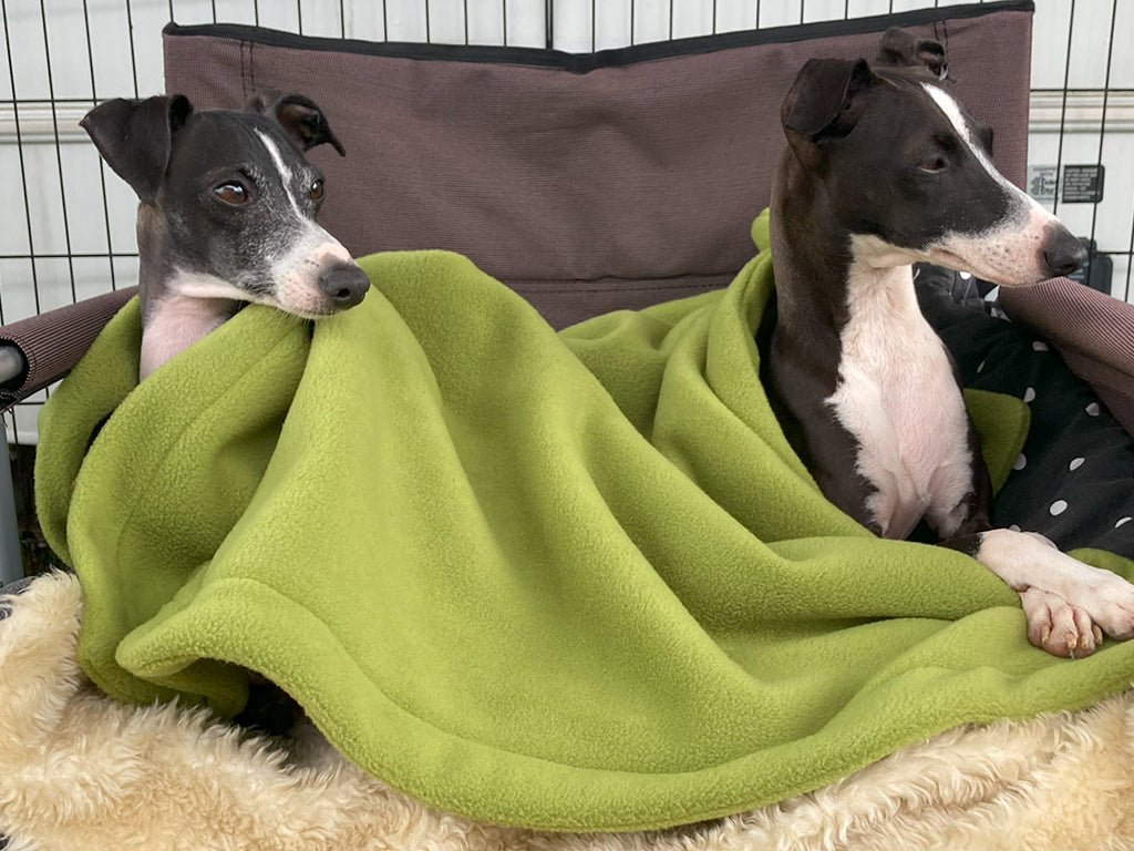 Double Fleece Dog Blanket in Moss for travelling