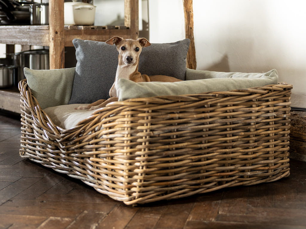 Dressed Rattan Dog Basket in Pebble