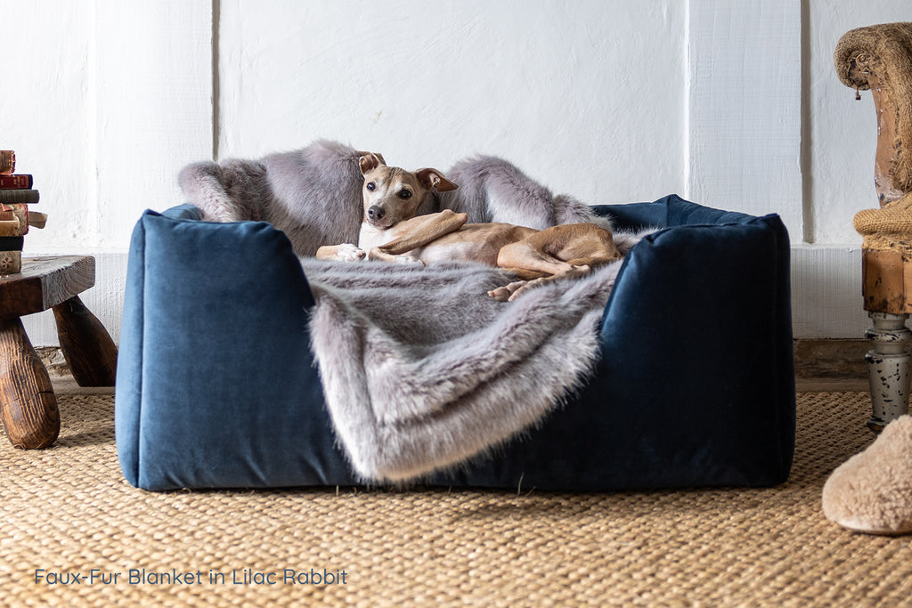 Chrley Chau dog bed in midnight velvet with Lilac Rabbit Faux-Fur Blanket