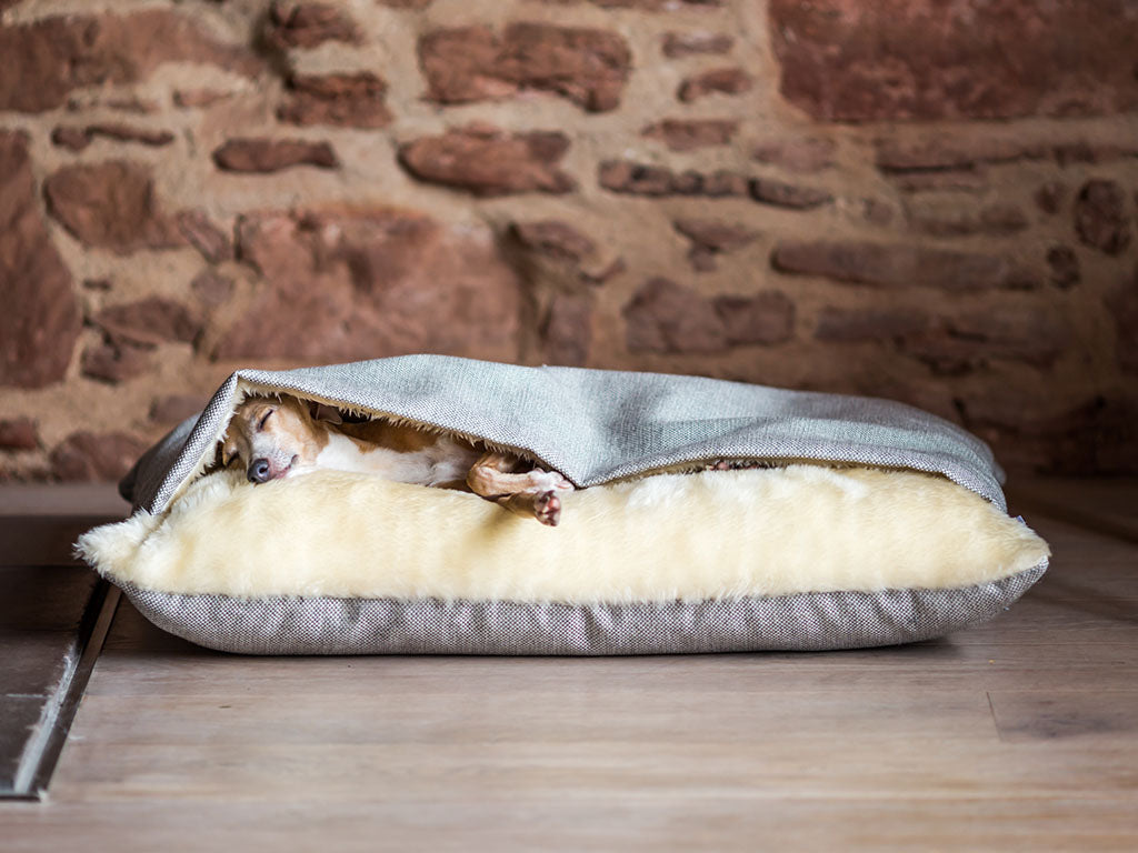 Charley Chau Snuggle Bed for burrowing dogs