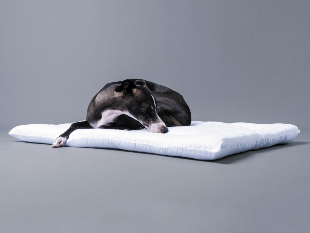 Dog Travel Pad mattress insert