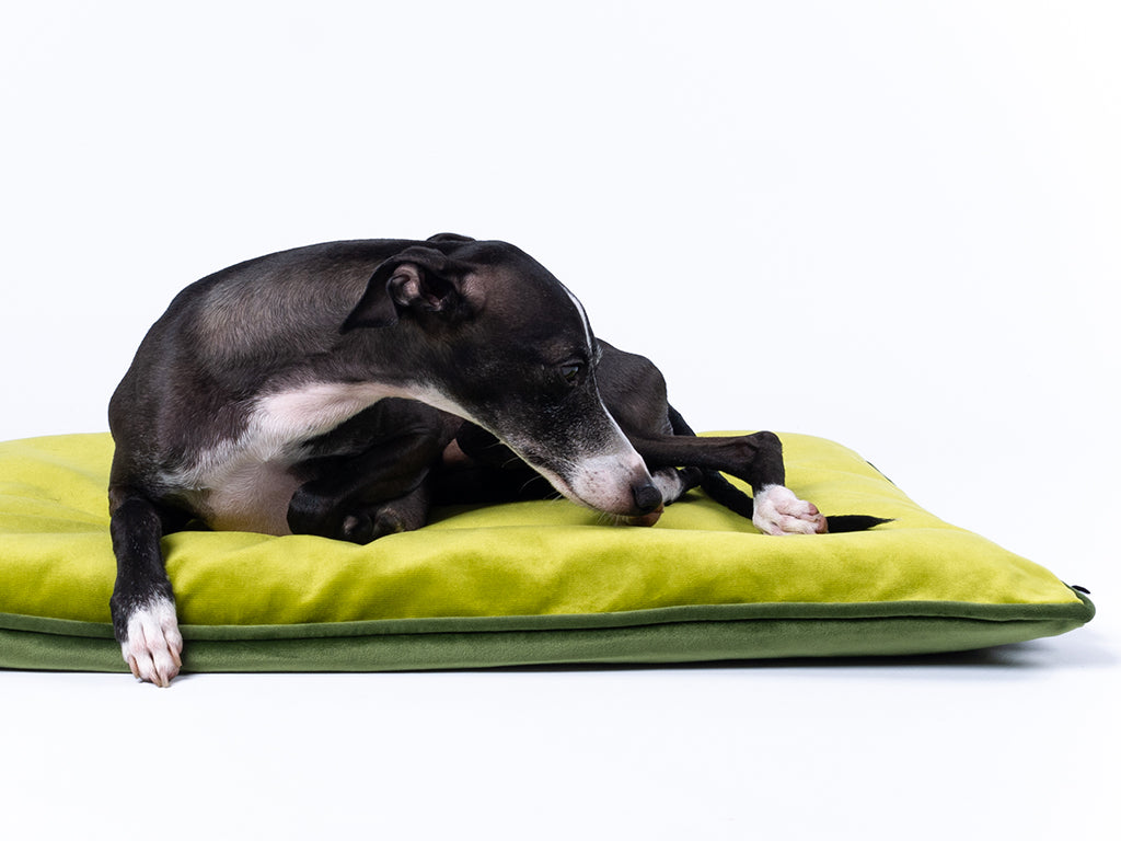 Charley Chau Travel Dog Bed Mattress in Velour