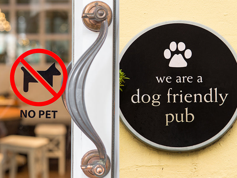 Dog friendly cafe restaurants are becoming more common